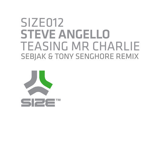Steve Angello - Teasing Mr. Charlie (Sebjak & Tony Senghore Remix)
