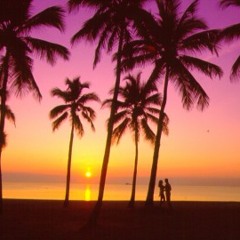 Sunday Mornings In Miami