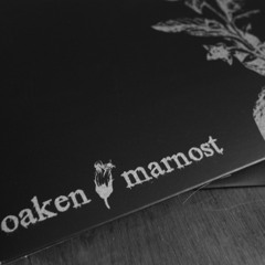 Marnost "Die Hamletmaschine" from split with Oaken