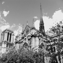 Cathedral [Free Download]