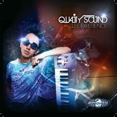 Quality Sound_ Dream Fall (Pare_Rmx)