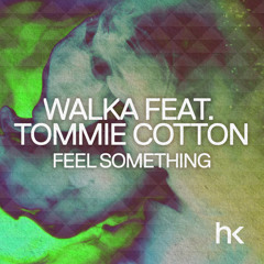 Walka Feat. Tommie Cotton - Feel Something [HK Records/Ministry Of Sound] *Cause & Affect Rinse FM*
