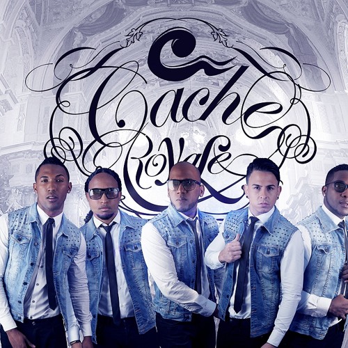 MIJN ALLES( jayh ) cover by CACHE ROYALE