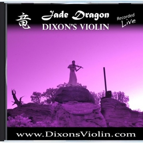 The Forest (live looped electric violin)