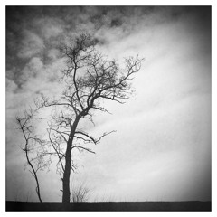 Songlines - Crucified (Testaufnahme)