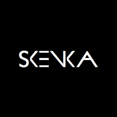 SKENKA - CLUSTER FUCK (2014 VIP)