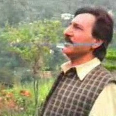 Tum Chale Aao Pahaaron - Kamal Masood