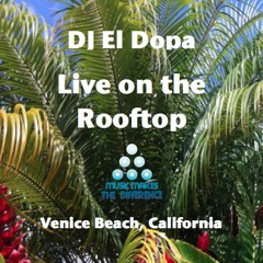 Live On The Rooftop - Tropical Soul