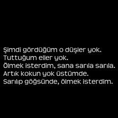 Sancak - Hoşçakal