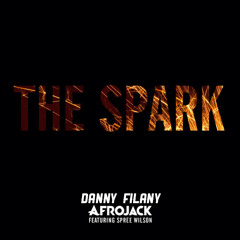 Afrojack // The Spark Feat. Spree Wilson (Danny Filany Edit)