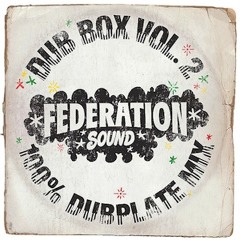 Dub Box Volume 2 - 100% Dubplate Mix