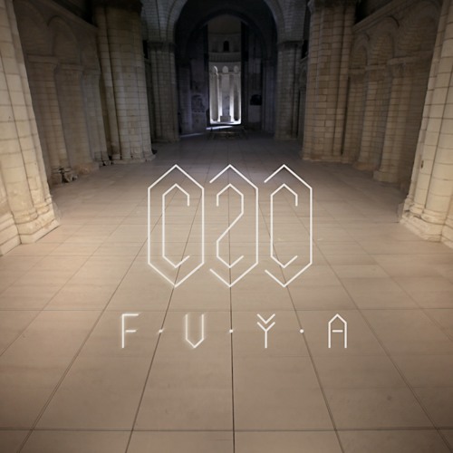 C2C - F·U·Y·A ( LeDocteur Remix )
