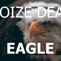 Noize Dead - EAGLE (Original Mix)