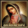 la-guadalupana-impulsomx