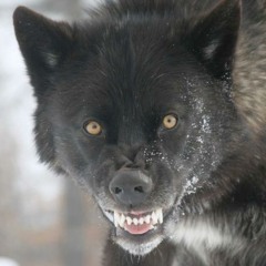 Malignant Monster - New Ideas