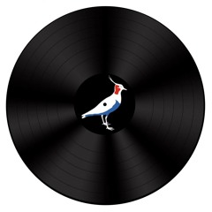 Die Geschichte vom Matthias