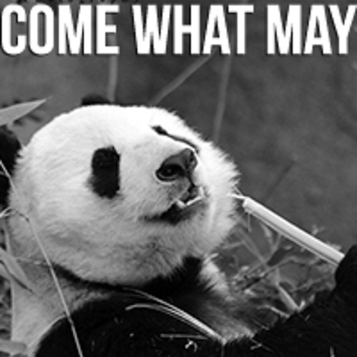 panda datând dating site în aer liber