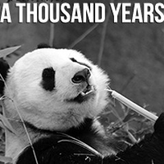 Thousand Years