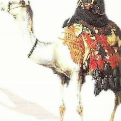 يالله وانا طالبك حمر هوا بالي