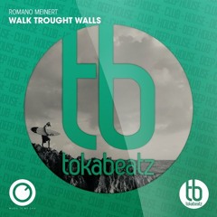 Romano Meinert - Walk through walls (Club Mix)