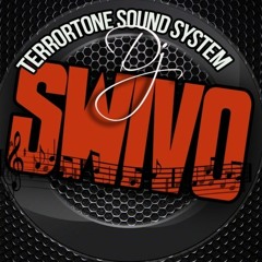 Terrortone Sound Live Juggling At Rashena's Birthday Bash