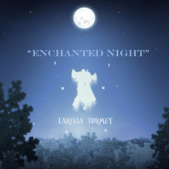 Enchanted Night (www.larissatormey.com)