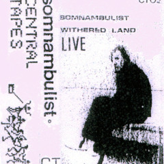 Somnambulist Things I Was Due To Forget