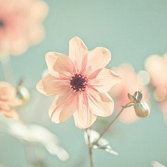 Flor  - Last Scene - THE PROJECT