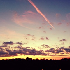 Marry That Girl (Cover)