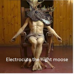 Electrocute the Night Moose - died without saving