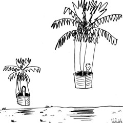 Palm (unmastered)