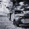 Redneck Crazy - Dominik Reichelt