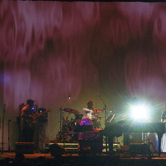 I Walk On Gilded Splinters