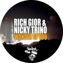 Nicky Trino & Rich Gior - Wonder Of You (Orignal Mix) [Nervous Records]