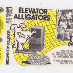 'Meandering Melodies' Side A