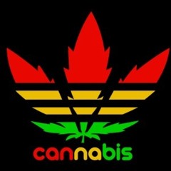 01_3DMentes - Mentreduccion (2013)