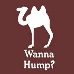 Dirty Camel (Danno Mix)