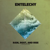 Rain Root And Rise (Original Mix)