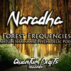 Quantum-D Podcast #003 - Naradha - Forest Frequencies