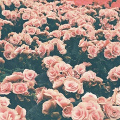 John Legend - All of Me cover