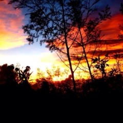 Moon Of Desire - Morissette Amon - cover(idk the lyrics)