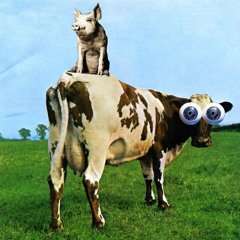 If - Pink Floyd
