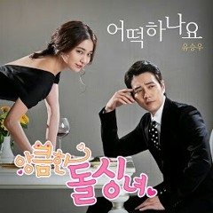 YSW - Cunning Single Lady OST - What Do I Do - Cover (Reff)