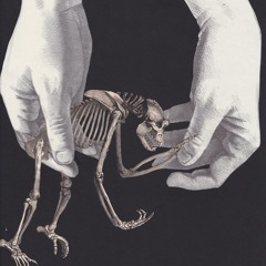 Grand Tunk Plastic Lake