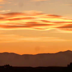 Rogs is Techno / Deep