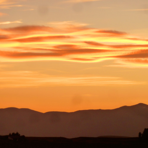 Rogs is Techno / Deep