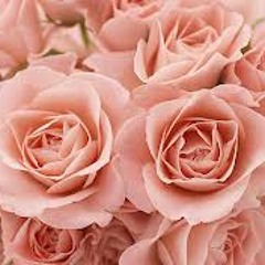 Happy Birthday-Ten 2 Five