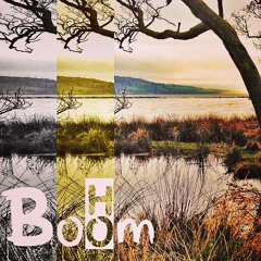 Wagon Wheels by Boom Ho