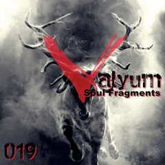 Valyum - Soul Fragments (Original Mix) [cut] |Soon on Deer-Seven Recordings|