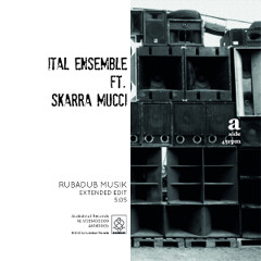 Ital Ensemble ft Skarra Mucci - Rubadub Musik (extended Edit)